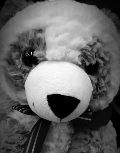 玩具熊猫图片下载