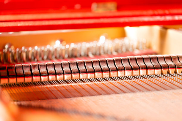 三角钢琴内的琴弦、木槌、阻尼器和音板图片下载