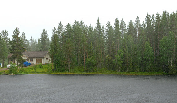 雨落在小森林湖上。芬兰北部拉普兰图片下载