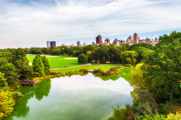 海龟池塘湖南草坪中央公园秋天纽约素材图片