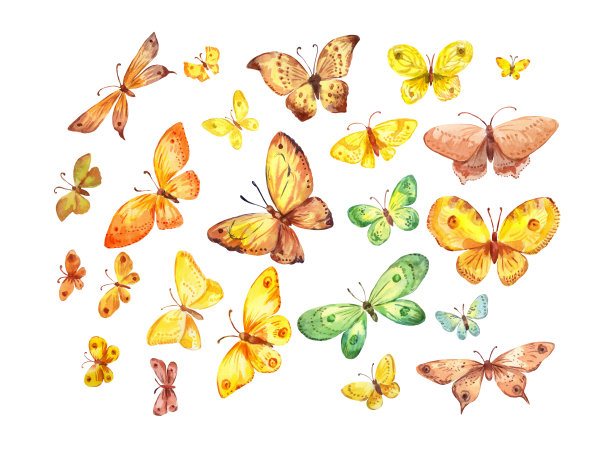 白色背景上有许多蝴蝶。水彩插图图片下载
