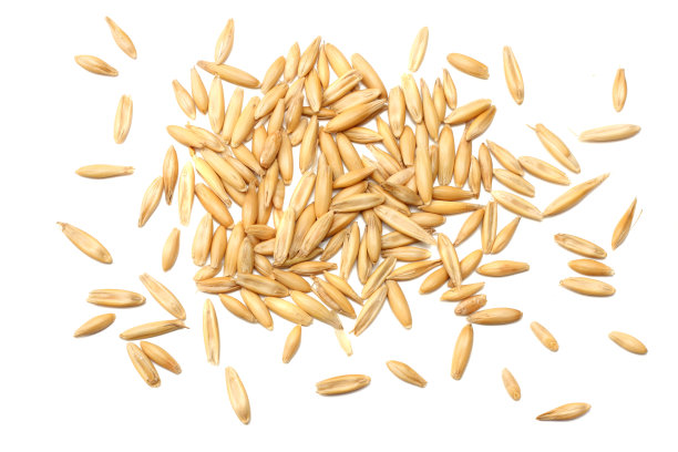 燕麦种子孤立在白色背景俯视图图片下载