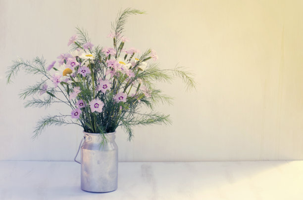 美丽的夏日一束鲜艳的野花。图片下载