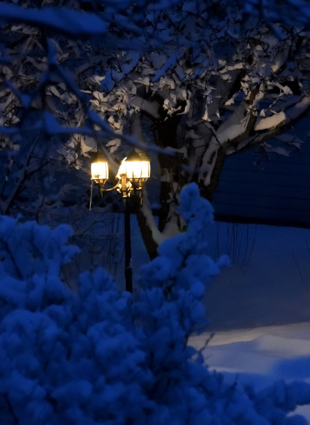 冬天傍晚的灯柱图片下载