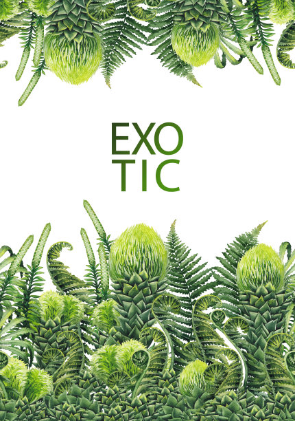 水彩史前植物图片下载