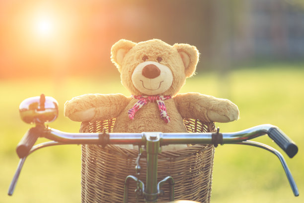 可爱的棕色泰迪熊在藤篮子上老式自行车在绿色的田野与镜头光晕。温暖的塑身效果。复古复古的风格图片下载