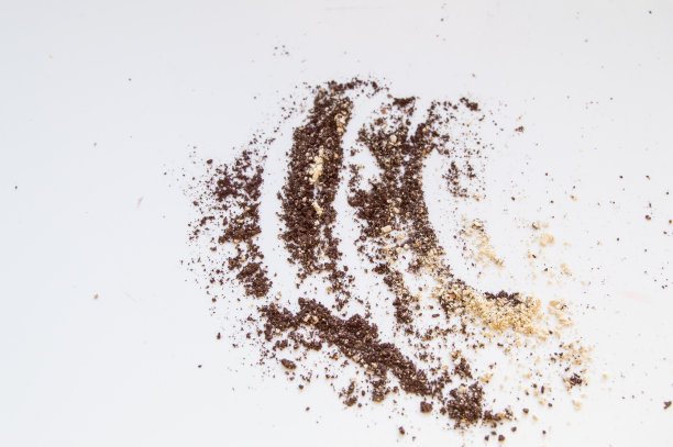 棕色和米色眼影分散在白色背景上，为化妆纹理图片下载