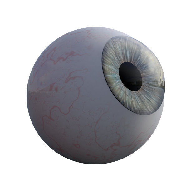 人类的蓝色眼睛图片下载