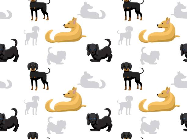 美国狗壁纸2图片下载