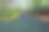 园林景观图片素材ID：313296738
