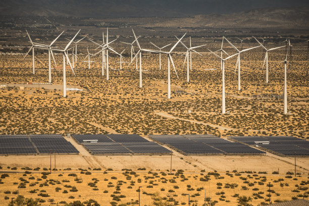 美国加州棕榈泉风力发电场图片下载