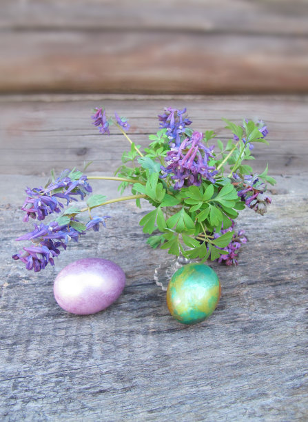 紫堇和复活节彩蛋图片下载