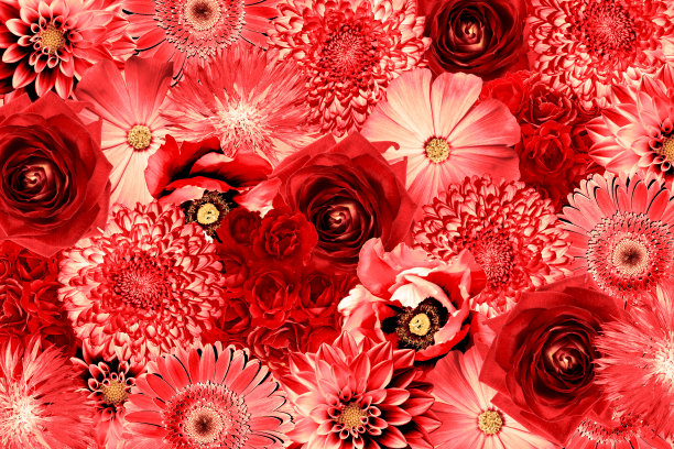 复古红色花拼贴背景复古风格图片下载