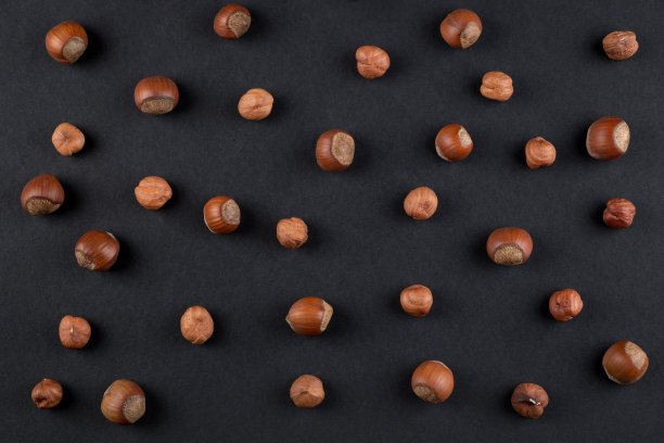 榛子在黑色图片下载