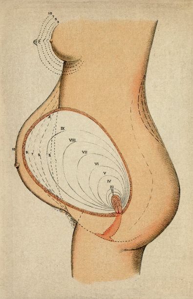 怀孕图图片下载