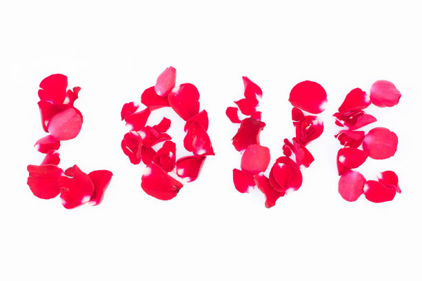 字爱与红玫瑰花瓣图片下载