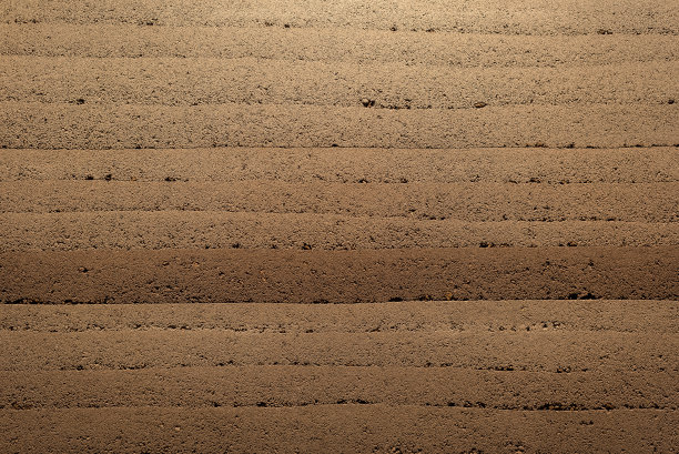 沙滩上沙滩的全帧拍摄图片下载