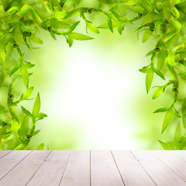 绿色竹子与白色空木板背景图片下载