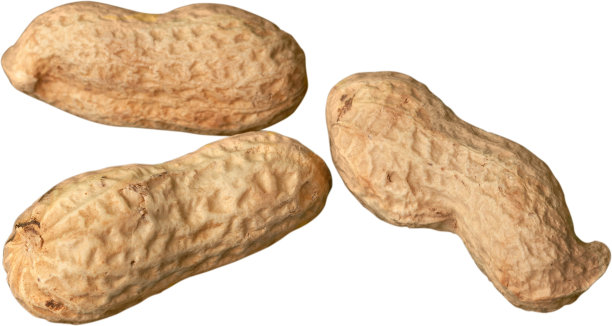 孤立。图片下载