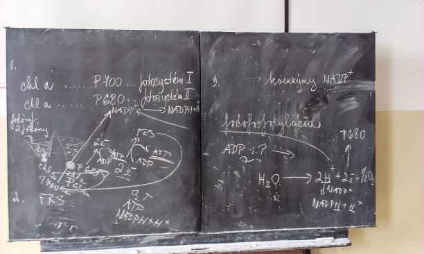学校体育馆的旧粉笔黑板图片下载