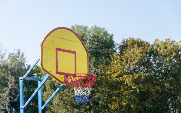 篮球在公园的盾牌图片下载