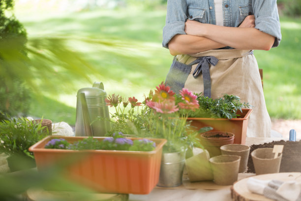 木桌上的锅图片下载