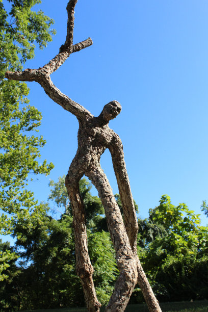 一个愤怒的树人在森林里的幻想形象图片下载