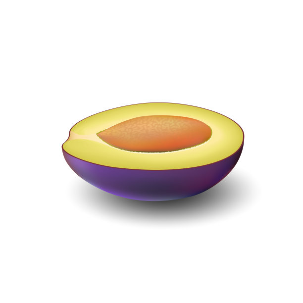 孤立的现实的彩色半片多汁的紫色李子与核与阴影在白色的背景。侧视图。图片下载