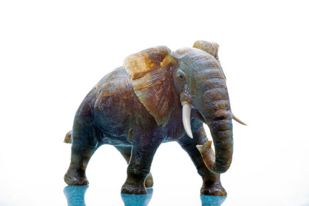 大象图动物工作室质量光图片下载