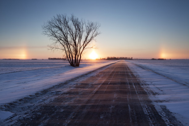 马尼托巴太阳狗图片下载