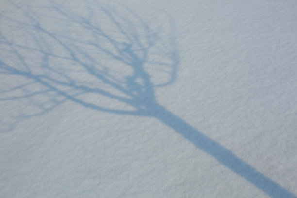冬天的风景图片下载
