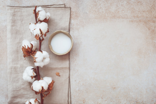 护肤照片素材ID：313384044