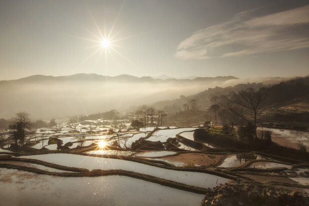 中国云南，梯田中的阳光反射图片下载