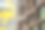 中国成都文殊寺的传统木窗素材图片