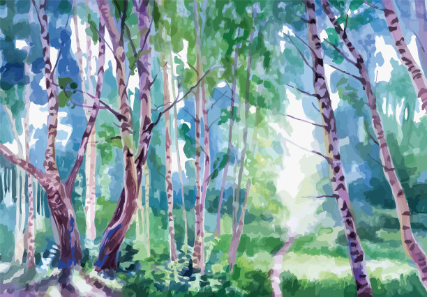 景观森林与桦树图片下载