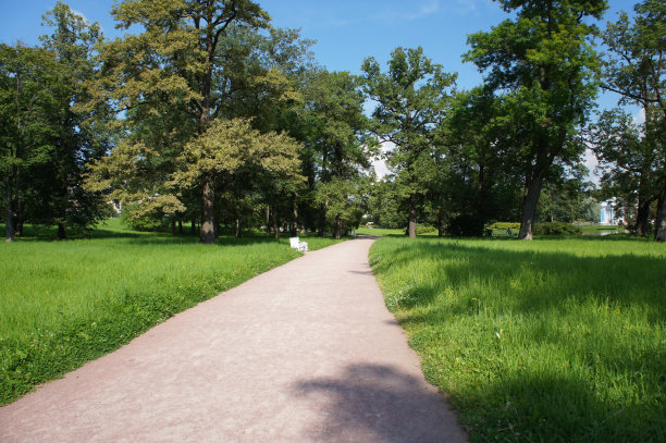 夏季绿色公园小路景观图片下载