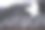 丹顶鹤照片素材ID：313398300