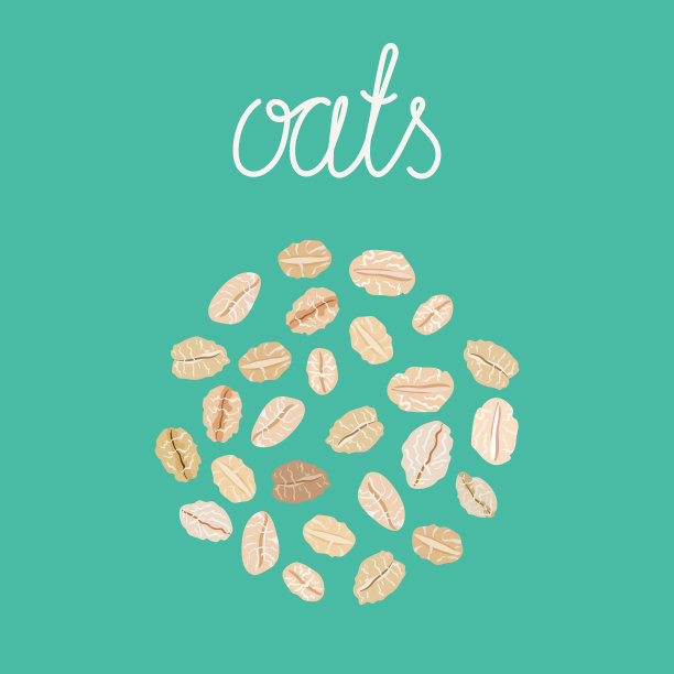 燕麦片。矢量手绘插图。图片下载