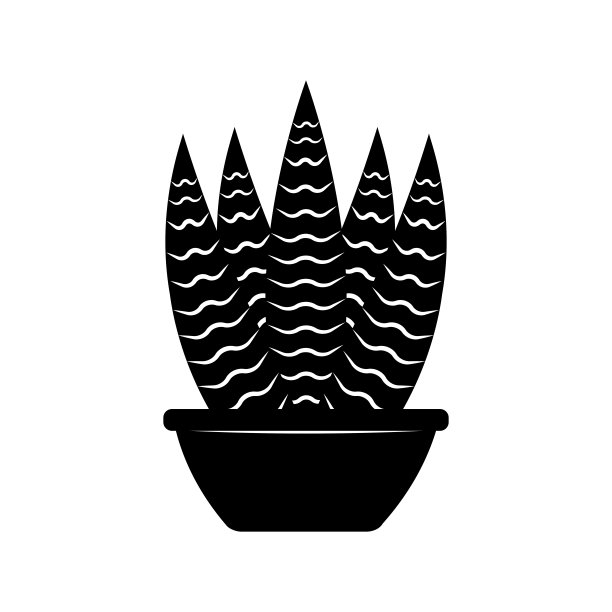 抽象的可爱的仙人掌图片下载