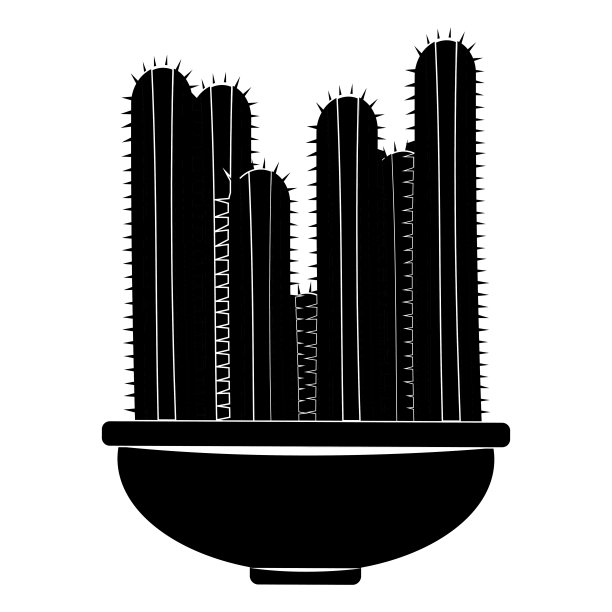 抽象的可爱的仙人掌图片下载