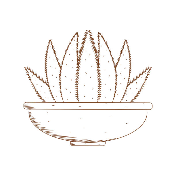 抽象的可爱的仙人掌图片下载