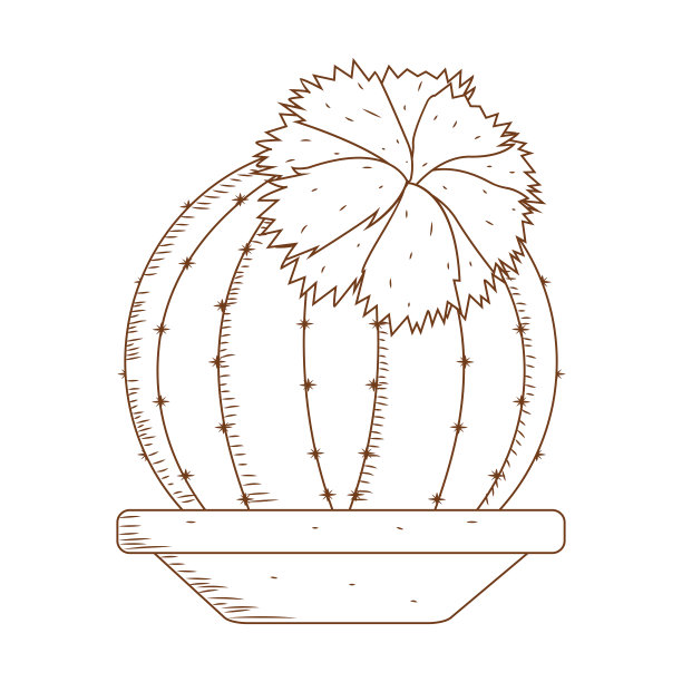 抽象的可爱的仙人掌图片下载