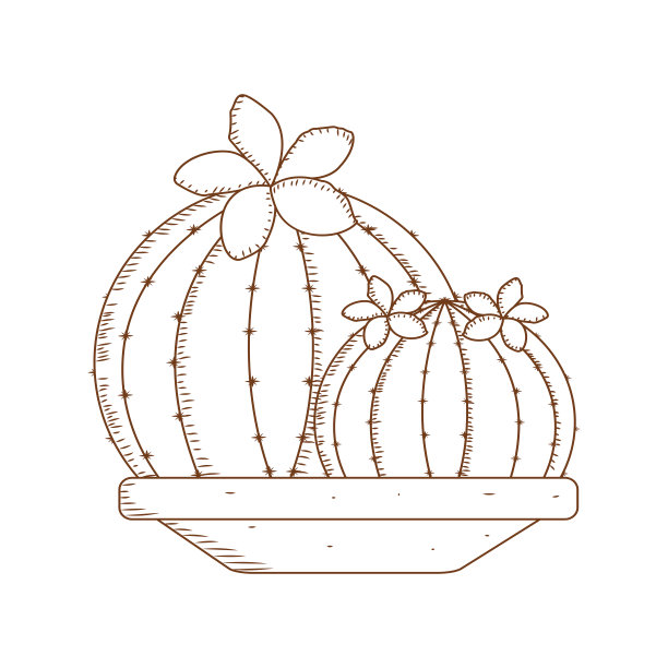 抽象的可爱的仙人掌图片下载