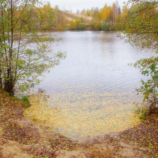 俄罗斯中路的秋天图片下载