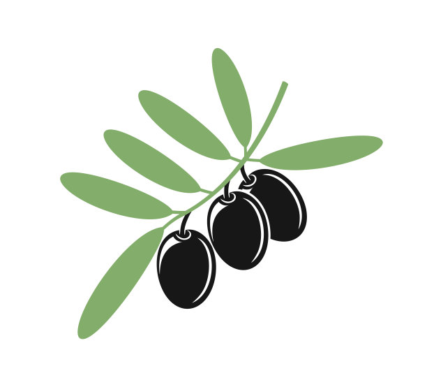 橄榄枝。孤立的橄榄白色背景图片下载