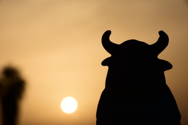 巨魔的剪影图片下载