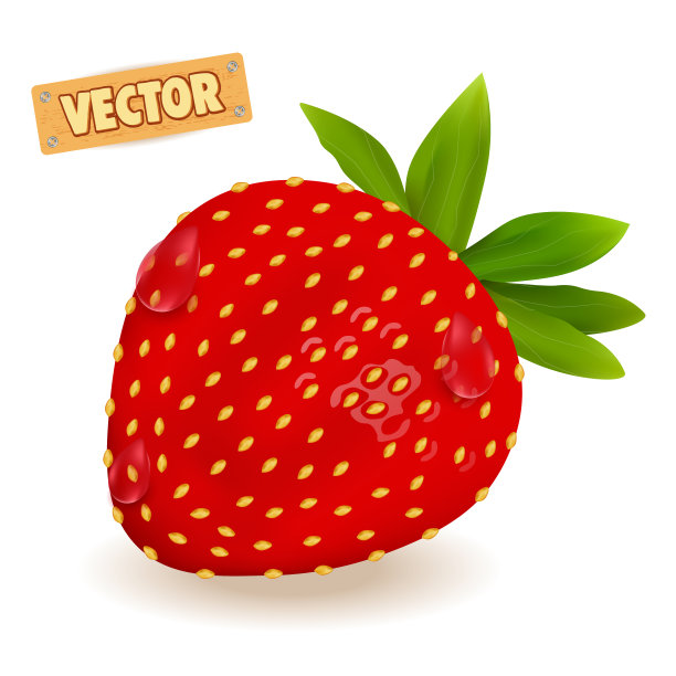 草莓矢量图素材ID：313440132