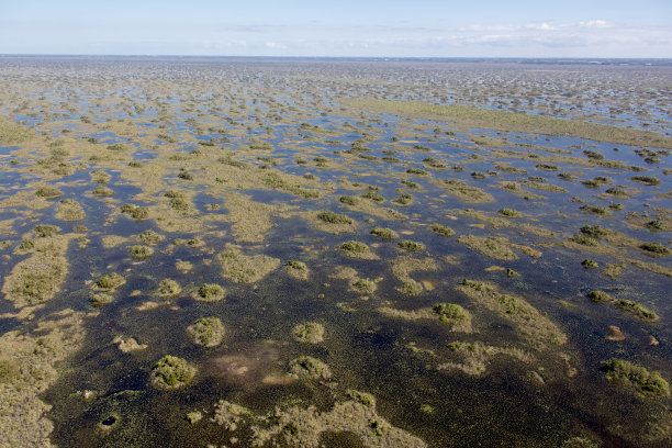 埃弗格莱兹国家公园图片下载
