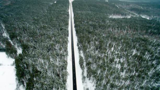 冬季森林和柏油路。从以上观点。这张照片是用无人机拍摄的。松树和冷杉林在雪地里图片下载