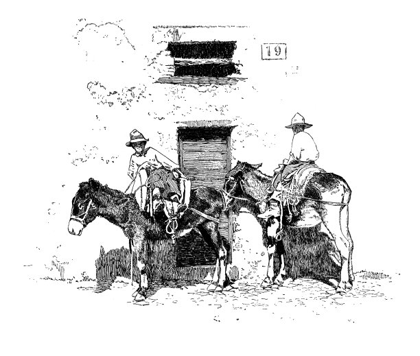 牛仔骑驴图片下载